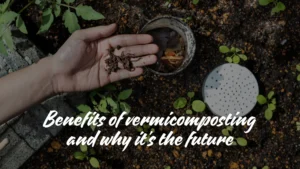 Benefits Of Vermicomposting and Why It's The Future