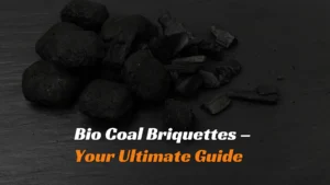 Bio Coal Briquettes - Your Ultimate Guide