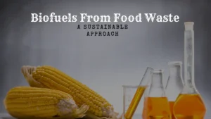 Biofuels From Food Waste - A Sustainable Approach