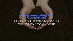 Vermicomposting V/s Composting:   Beneficial Methodologies Which One To Choose