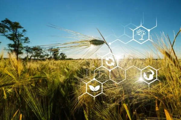 Iot, Internet Of Things, Agriculture Concept,